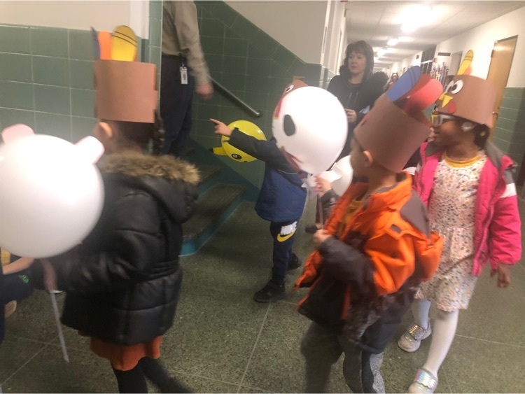 Live Feed Meadowbrook Elementary