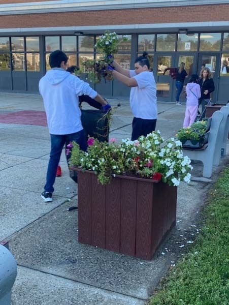 W.T. Clarke High School students plant vibrant, colorful flowers