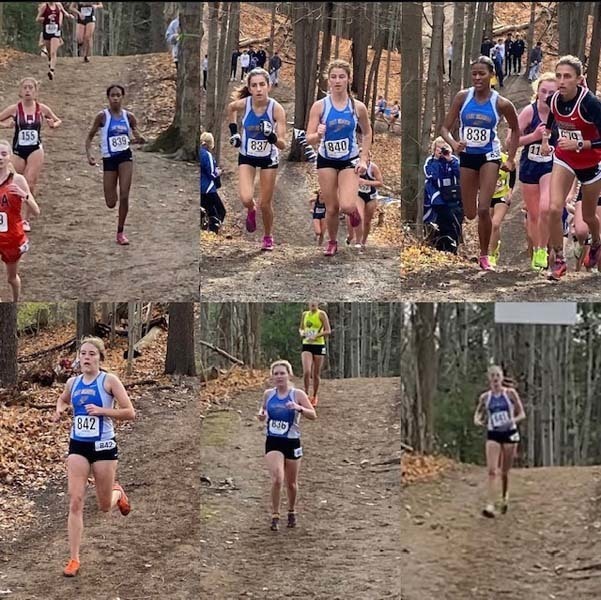 Cross country team running in the woods