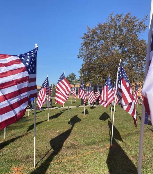 American flags in the ground