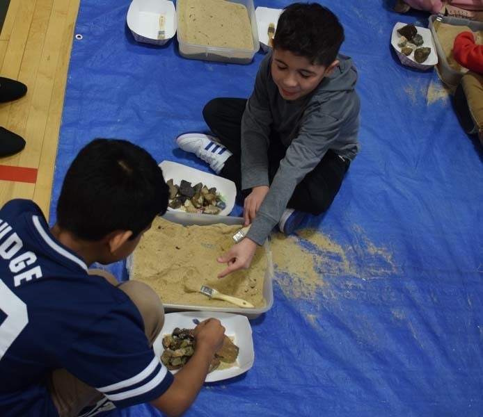 Students digging up fossils in the gym