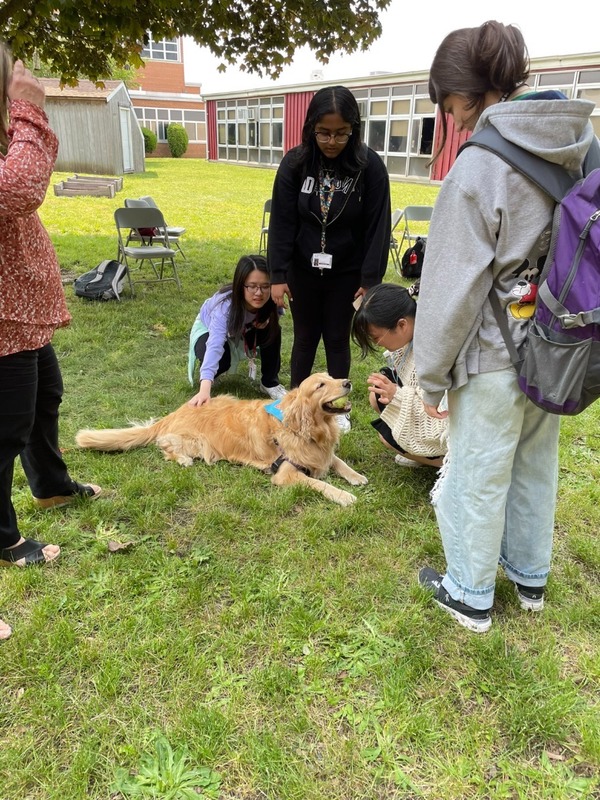 W.T. Clarke High School kicked off Wellness Week with a visit from Macey the Golden Retriever. 